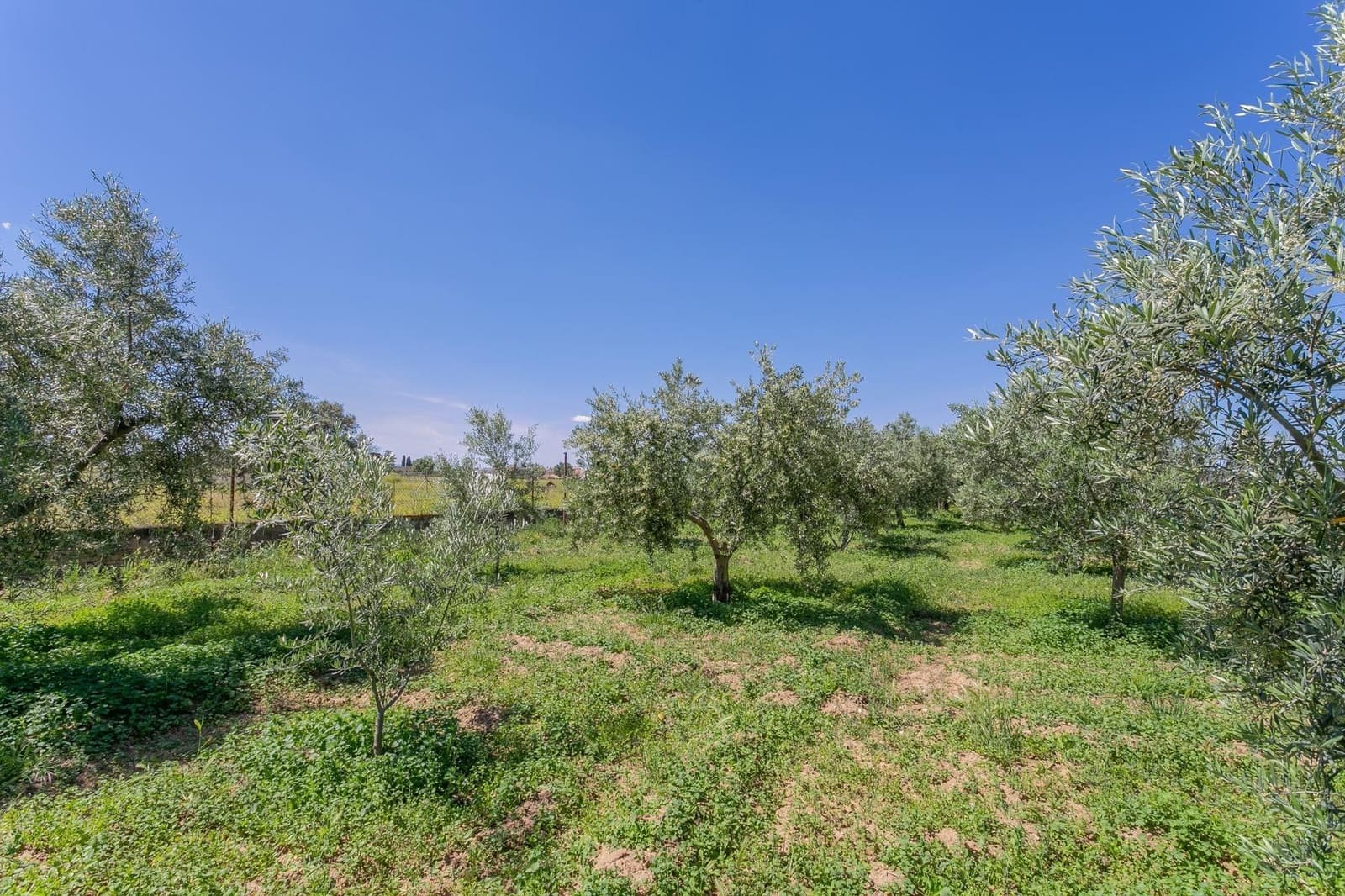 Terrain à Bâtir à vendre à Ogijares - 105 000 € (Ref: 9534198)