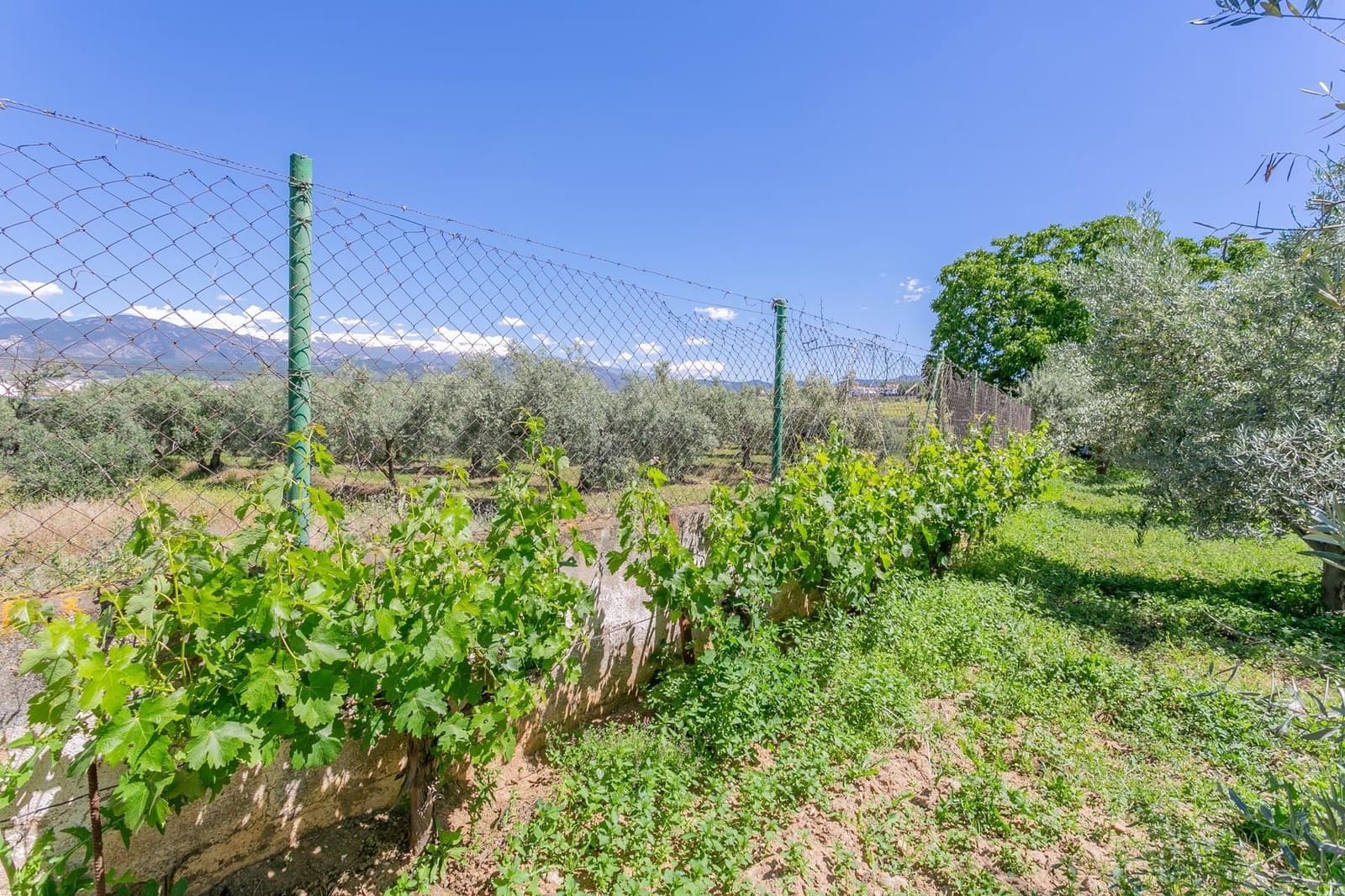 Terrain à Bâtir à vendre à Ogijares - 105 000 € (Ref: 9534198)