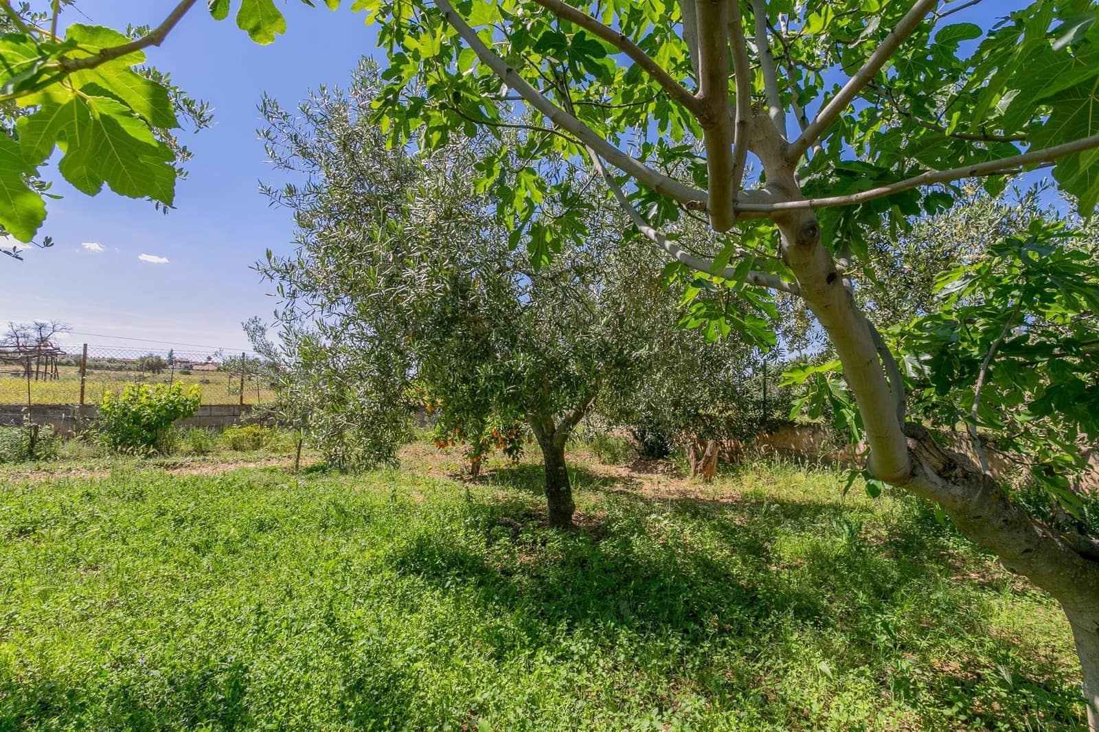 Terrain à Bâtir à vendre à Ogijares - 105 000 € (Ref: 9534198)