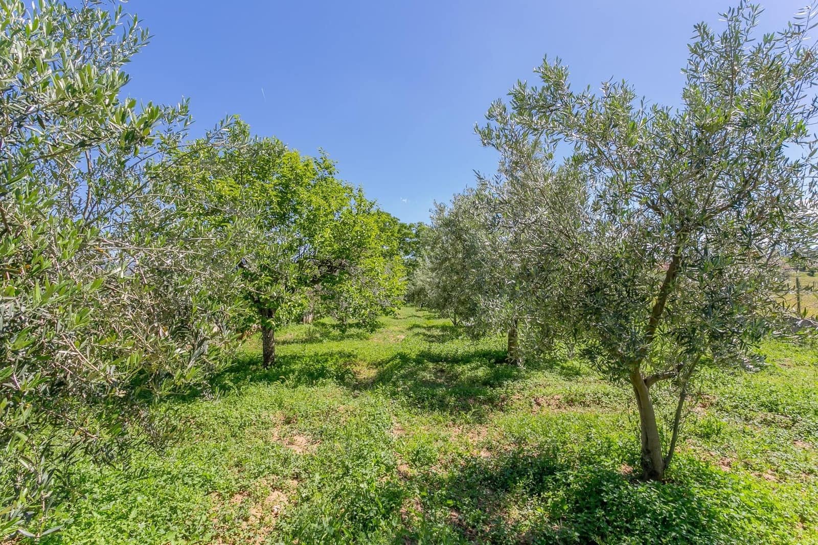 Terrain à Bâtir à vendre à Ogijares - 105 000 € (Ref: 9534198)