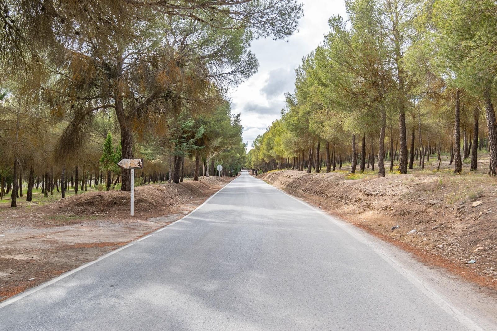 4 sovrum Finca/Hus på landet till salu i Arenas del Rey med garage - 165 000 € (Ref: 9534206)