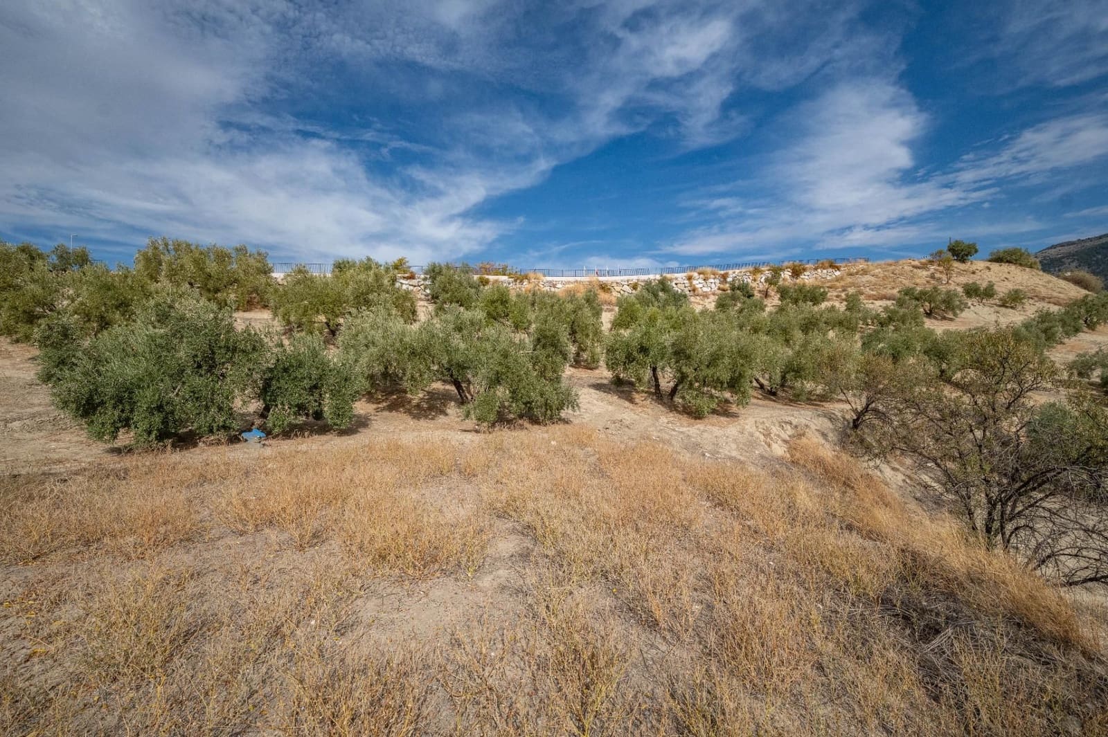 4 slaapkamer Finca/Landhuis te koop in Alfacar met garage - € 600.000 (Ref: 9534208)