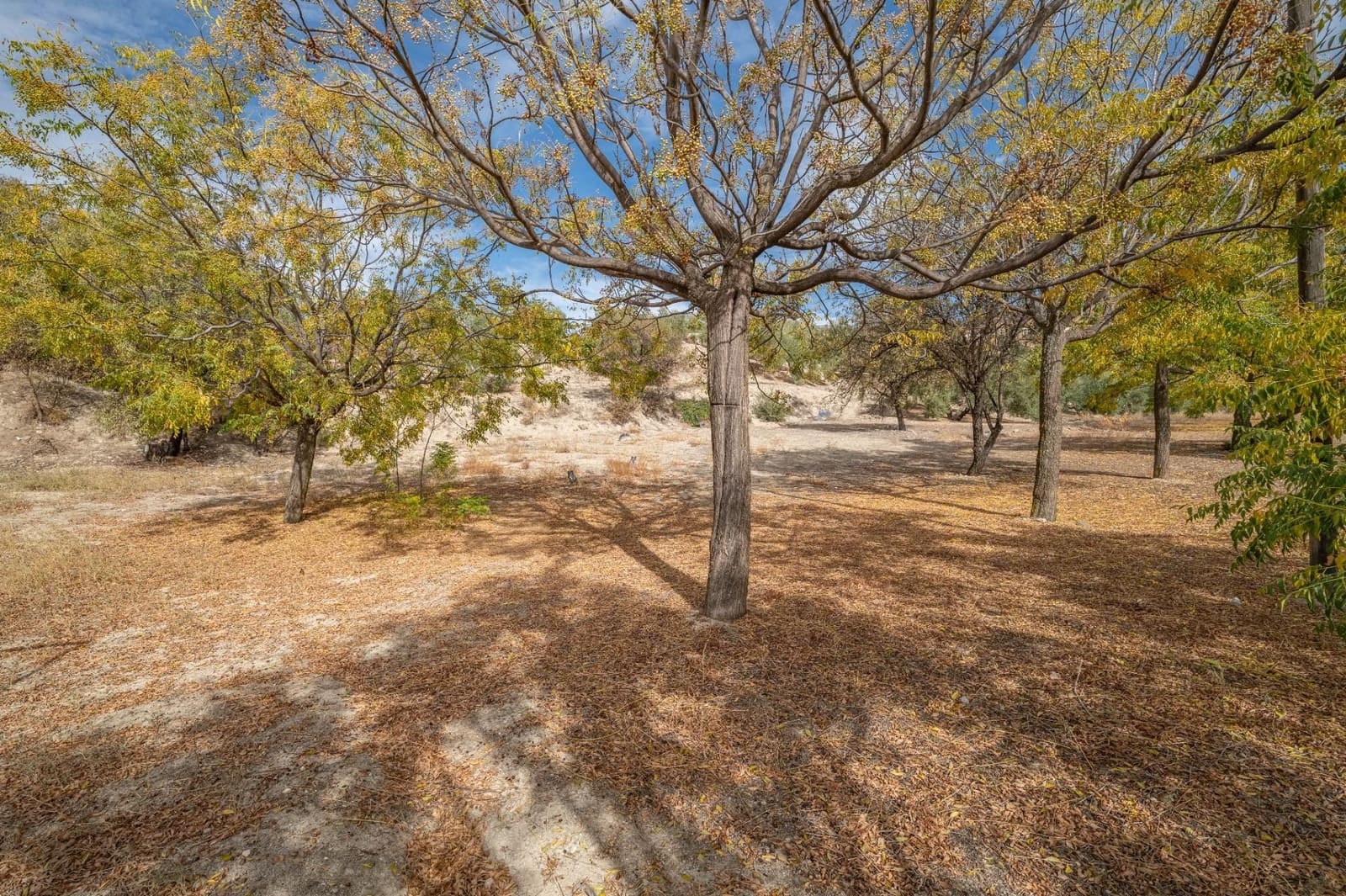 4 slaapkamer Finca/Landhuis te koop in Alfacar met garage - € 600.000 (Ref: 9534208)