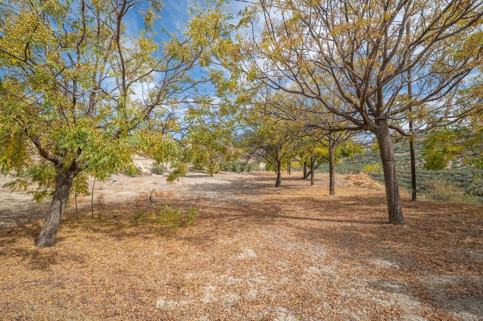 4 slaapkamer Finca/Landhuis te koop in Alfacar met garage - € 600.000 (Ref: 9534208)