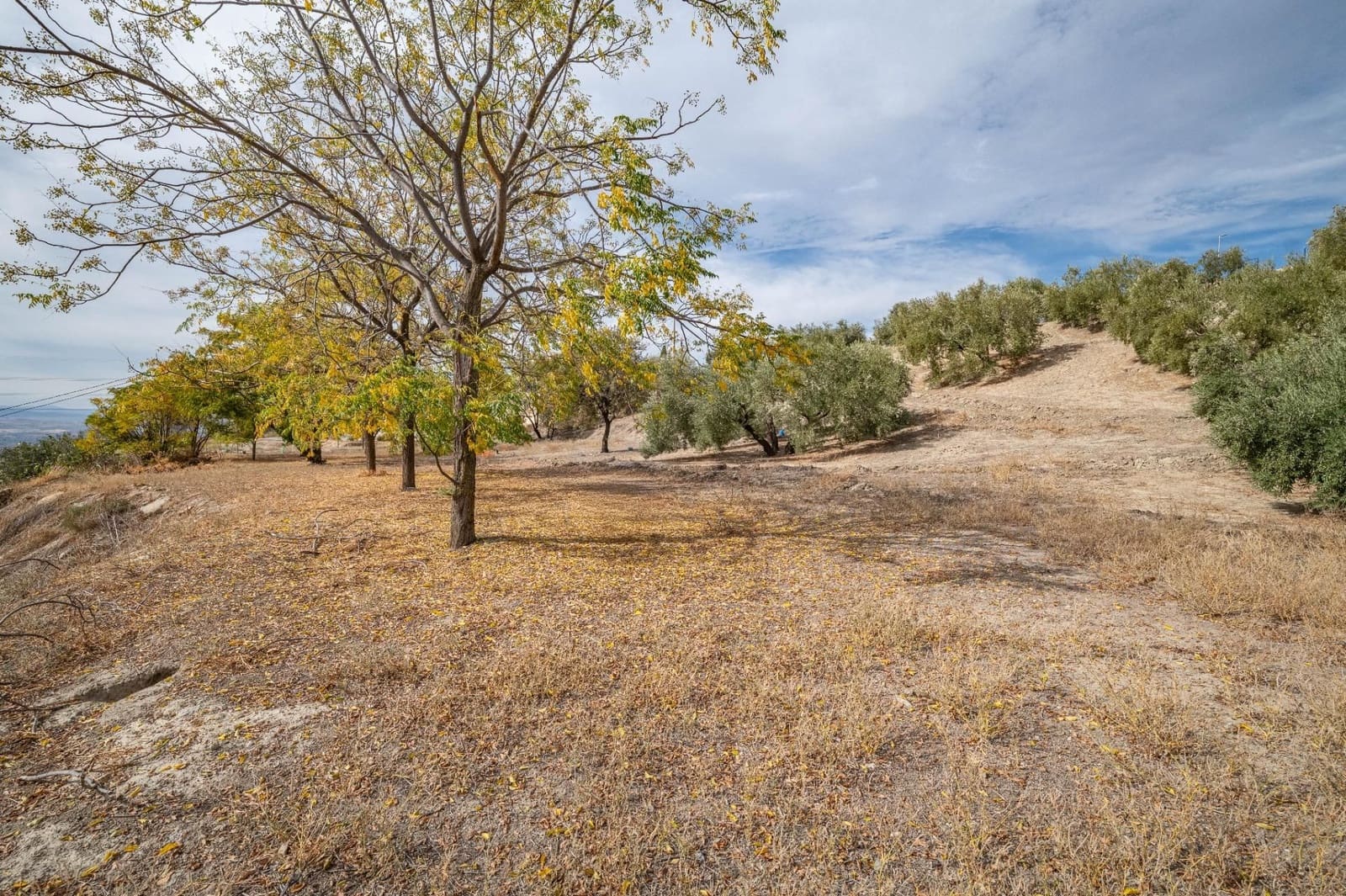 4 slaapkamer Finca/Landhuis te koop in Alfacar met garage - € 600.000 (Ref: 9534208)