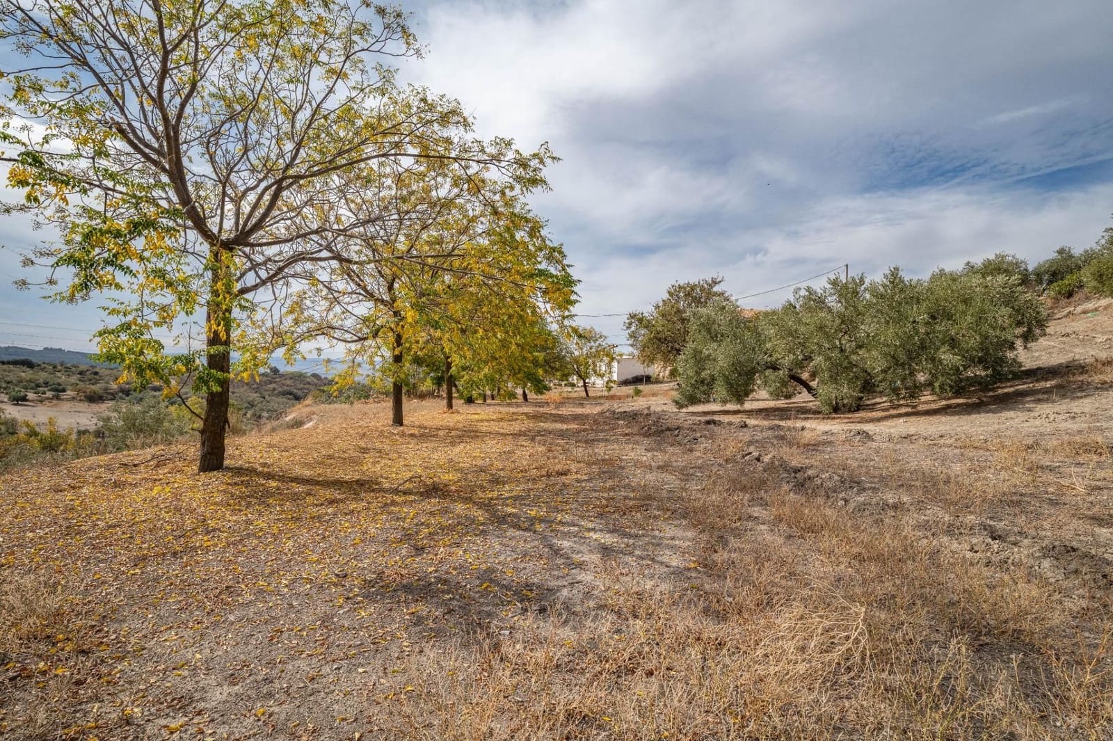 4 slaapkamer Finca/Landhuis te koop in Alfacar met garage - € 600.000 (Ref: 9534208)