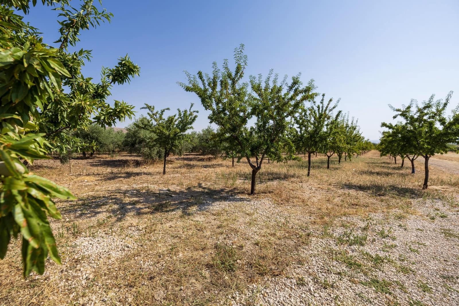 2 bedroom Finca/Country House for sale in Darro with garage - € 129,000 (Ref: 9534210)