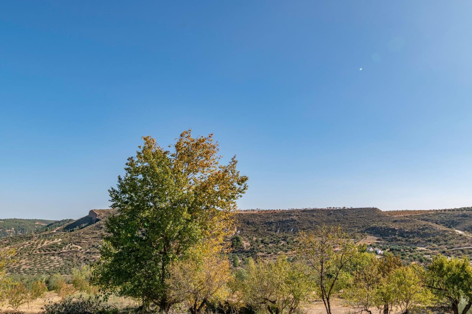 Finca/Casa Rural de 3 habitaciones en La Peza en venta - 149.900 € (Ref: 9534212)