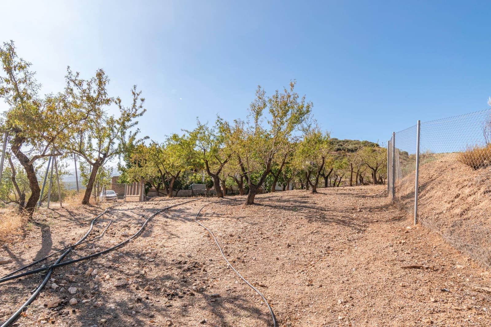 Finca/Casa Rural de 3 habitaciones en La Peza en venta - 149.900 € (Ref: 9534212)