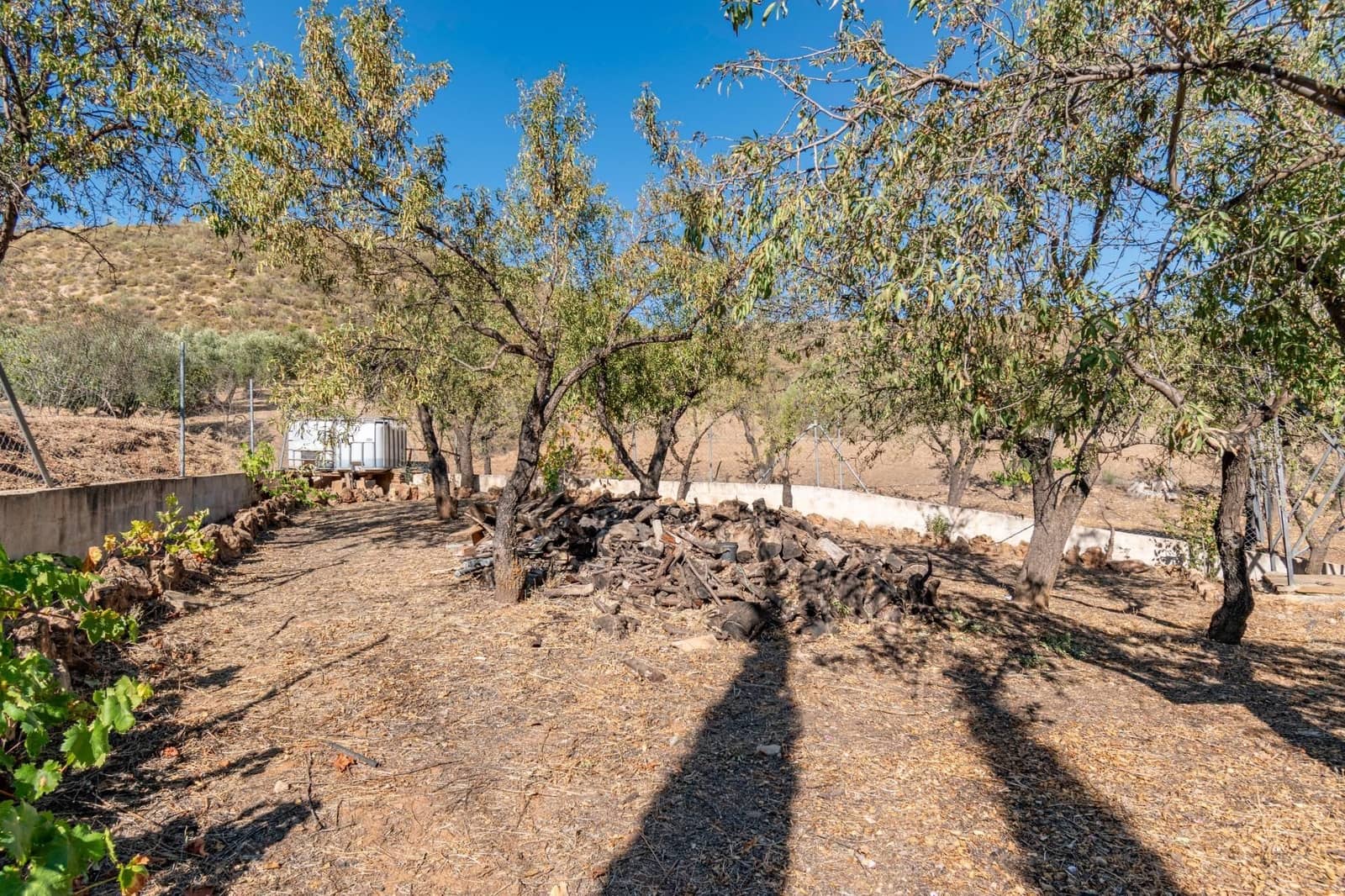 Finca/Casa Rural de 3 habitaciones en La Peza en venta - 149.900 € (Ref: 9534212)