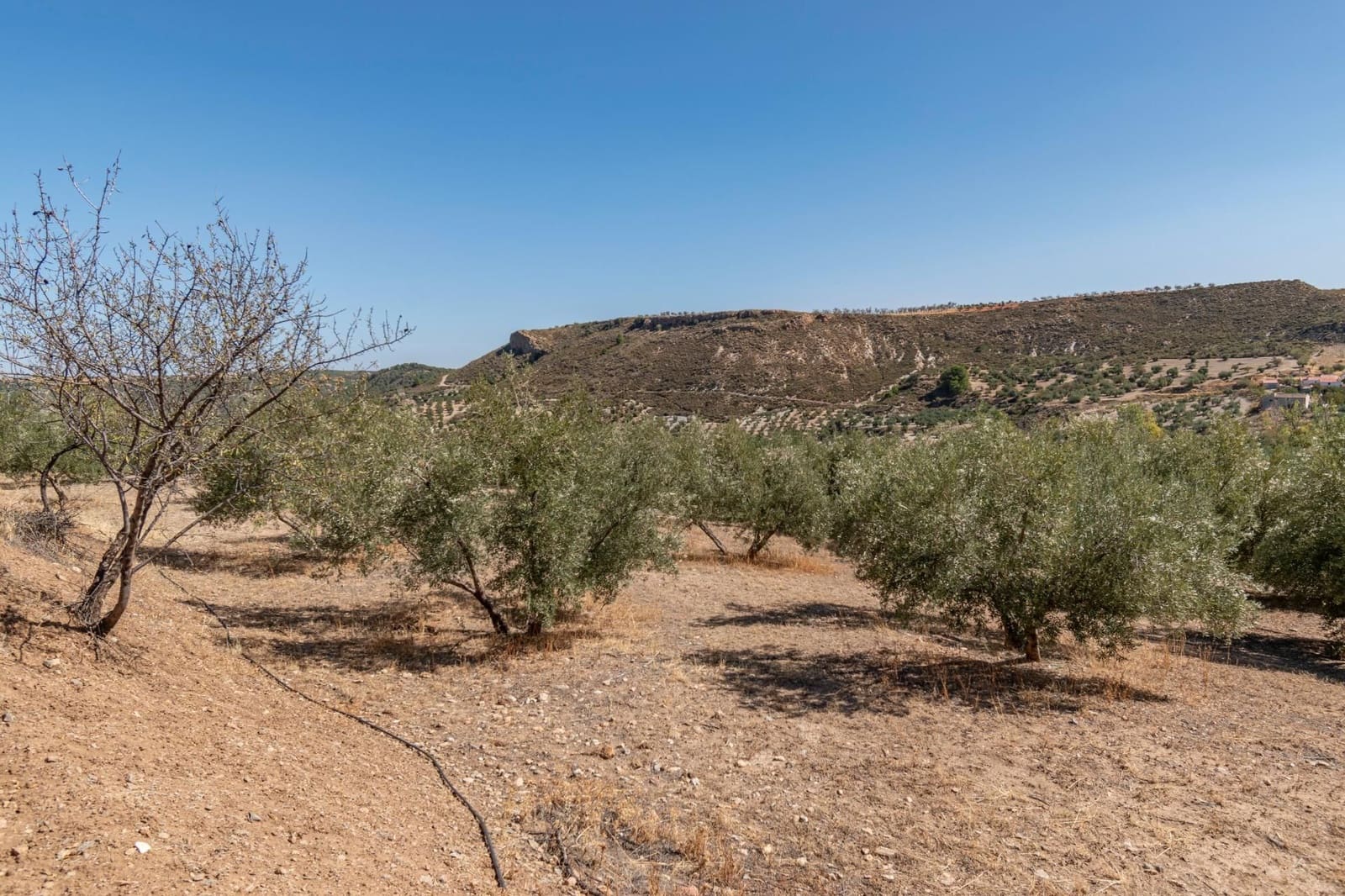 Finca/Casa Rural de 3 habitaciones en La Peza en venta - 149.900 € (Ref: 9534212)