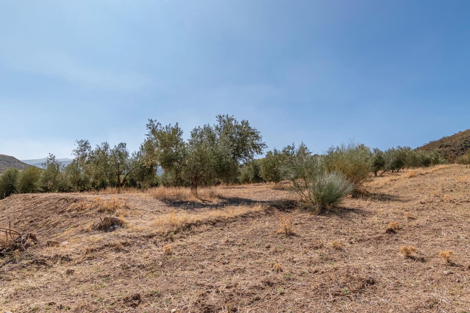 Finca/Casa Rural de 3 habitaciones en La Peza en venta - 149.900 € (Ref: 9534212)