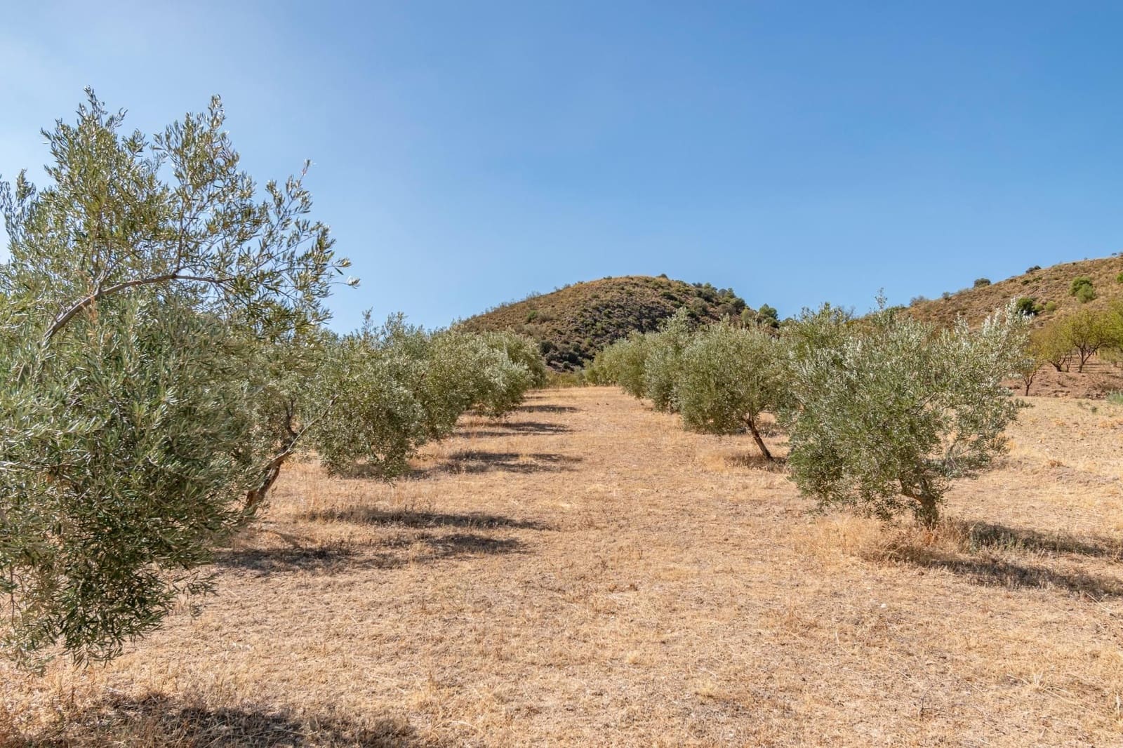 Finca/Casa Rural de 3 habitaciones en La Peza en venta - 149.900 € (Ref: 9534212)