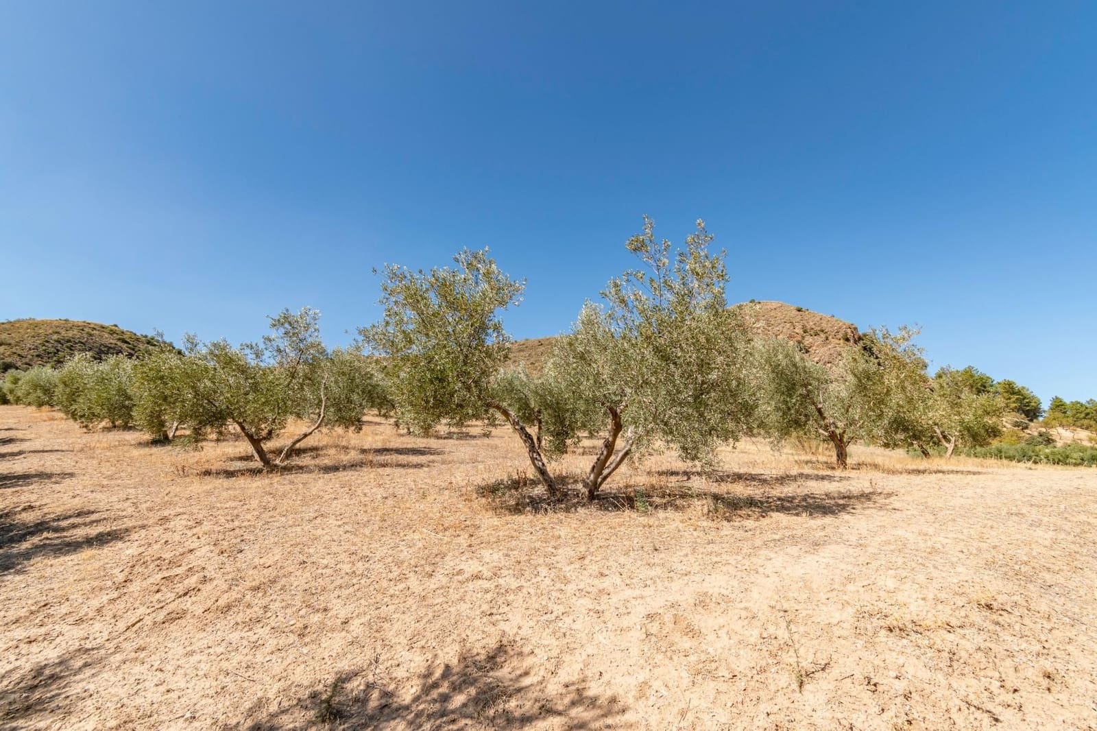 Finca/Casa Rural de 3 habitaciones en La Peza en venta - 149.900 € (Ref: 9534212)