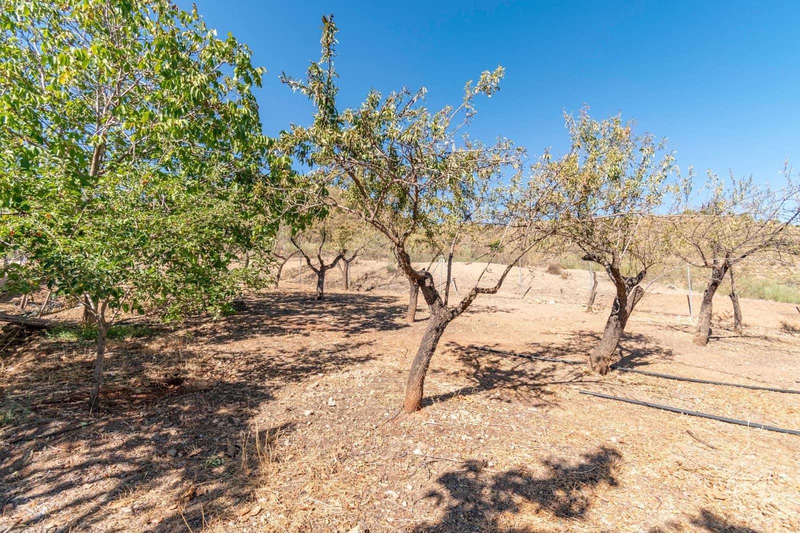 Finca/Casa Rural de 3 habitaciones en La Peza en venta - 149.900 € (Ref: 9534212)