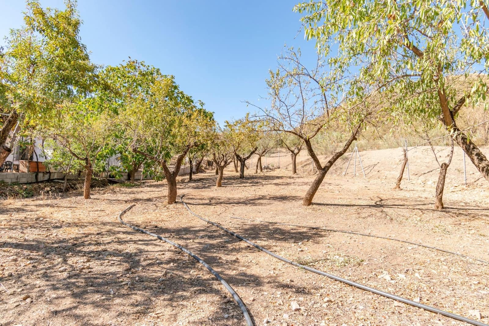 Finca/Casa Rural de 3 habitaciones en La Peza en venta - 149.900 € (Ref: 9534212)