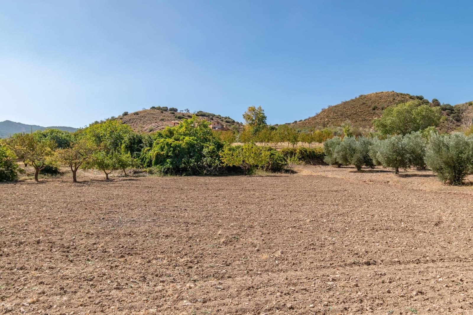 Finca/Casa Rural de 3 habitaciones en La Peza en venta - 149.900 € (Ref: 9534212)