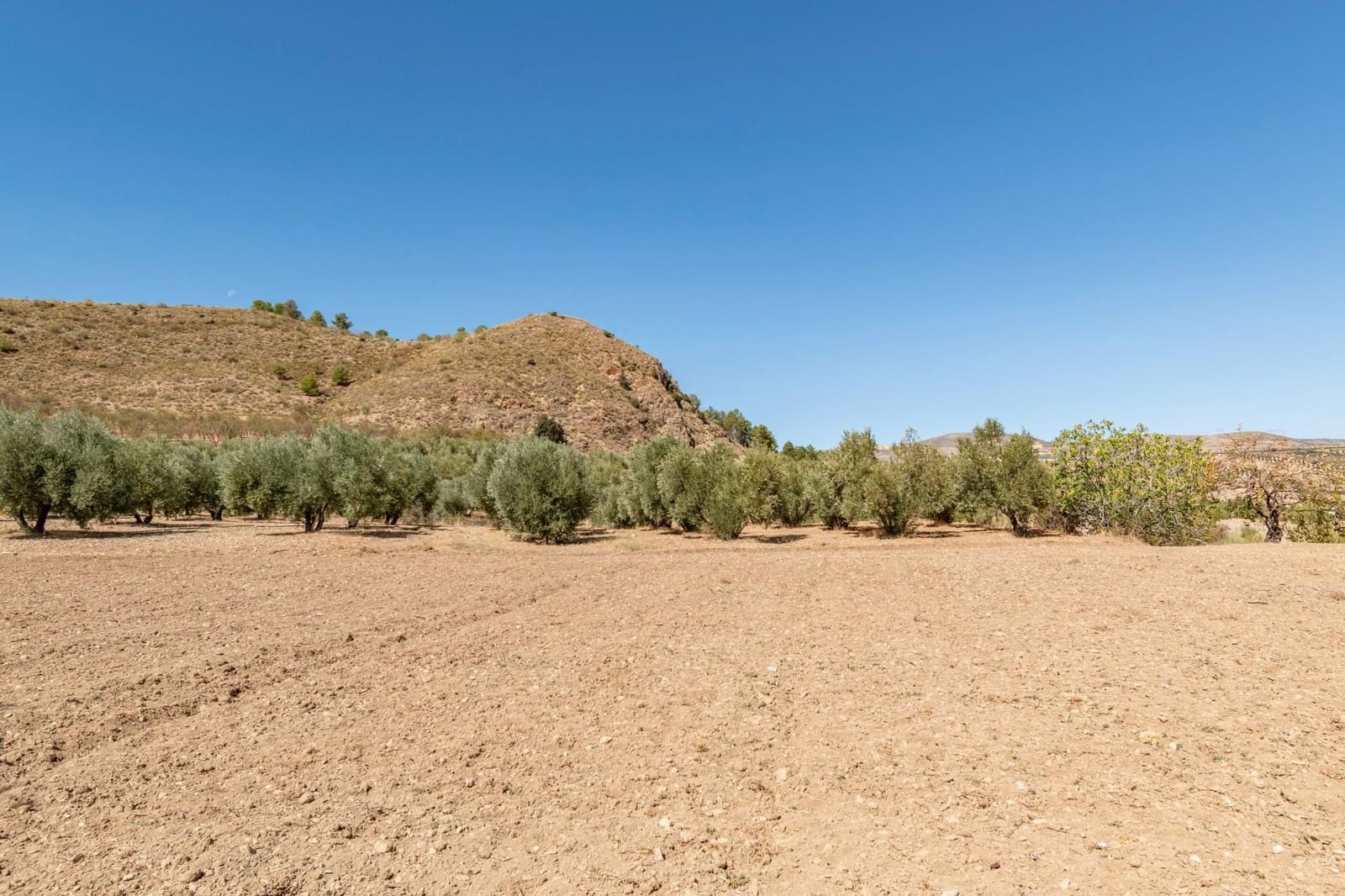 Finca/Casa Rural de 3 habitaciones en La Peza en venta - 149.900 € (Ref: 9534212)