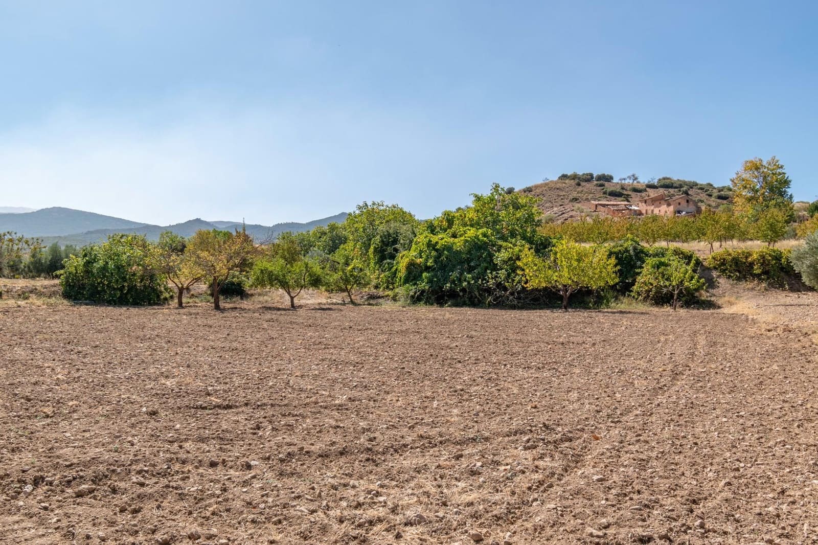 Finca/Casa Rural de 3 habitaciones en La Peza en venta - 149.900 € (Ref: 9534212)