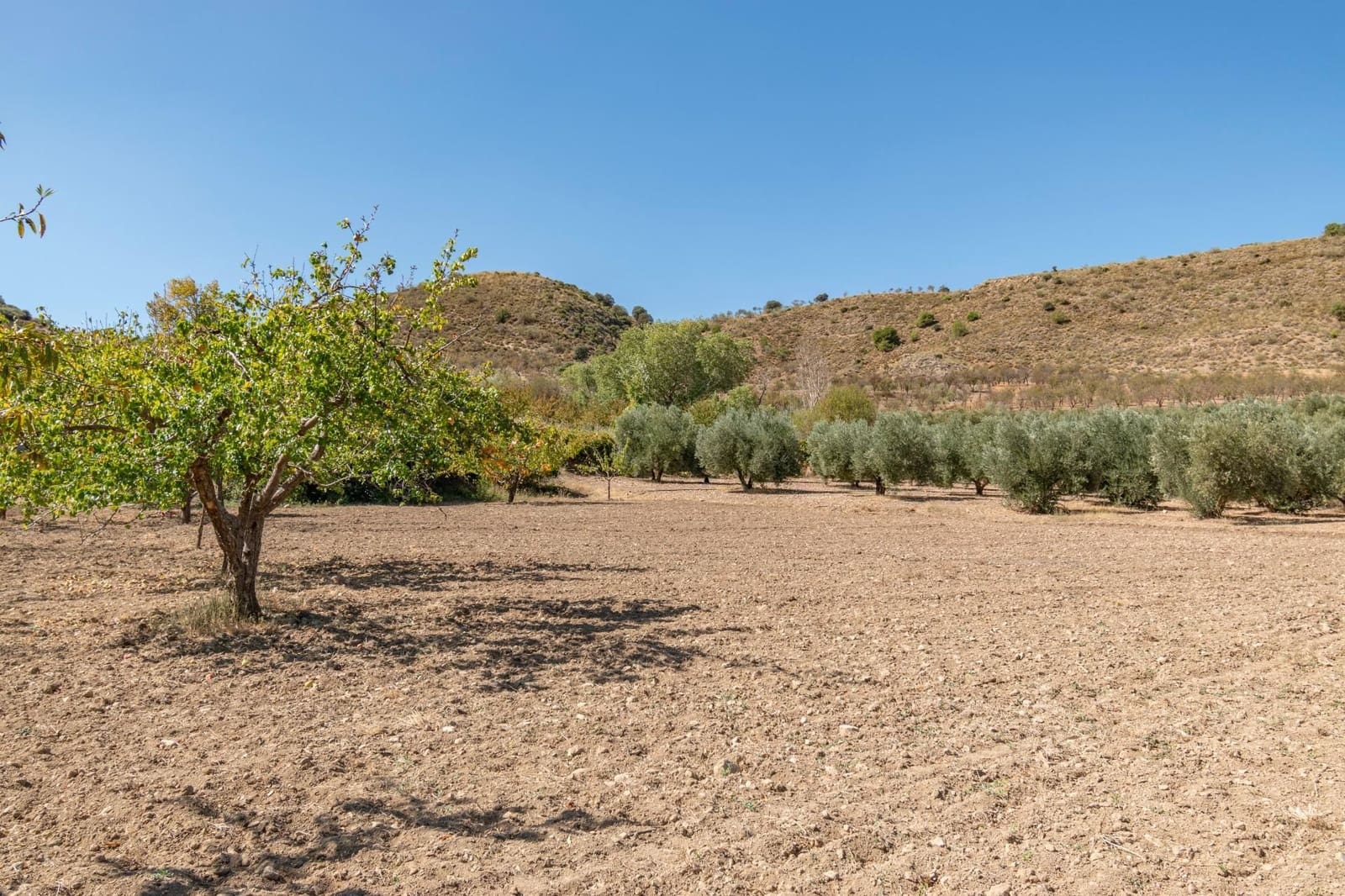 Finca/Casa Rural de 3 habitaciones en La Peza en venta - 149.900 € (Ref: 9534212)
