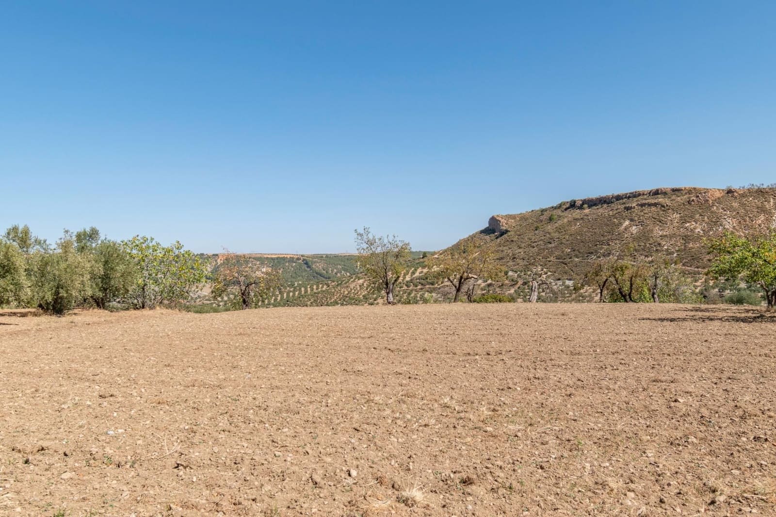 Finca/Casa Rural de 3 habitaciones en La Peza en venta - 149.900 € (Ref: 9534212)