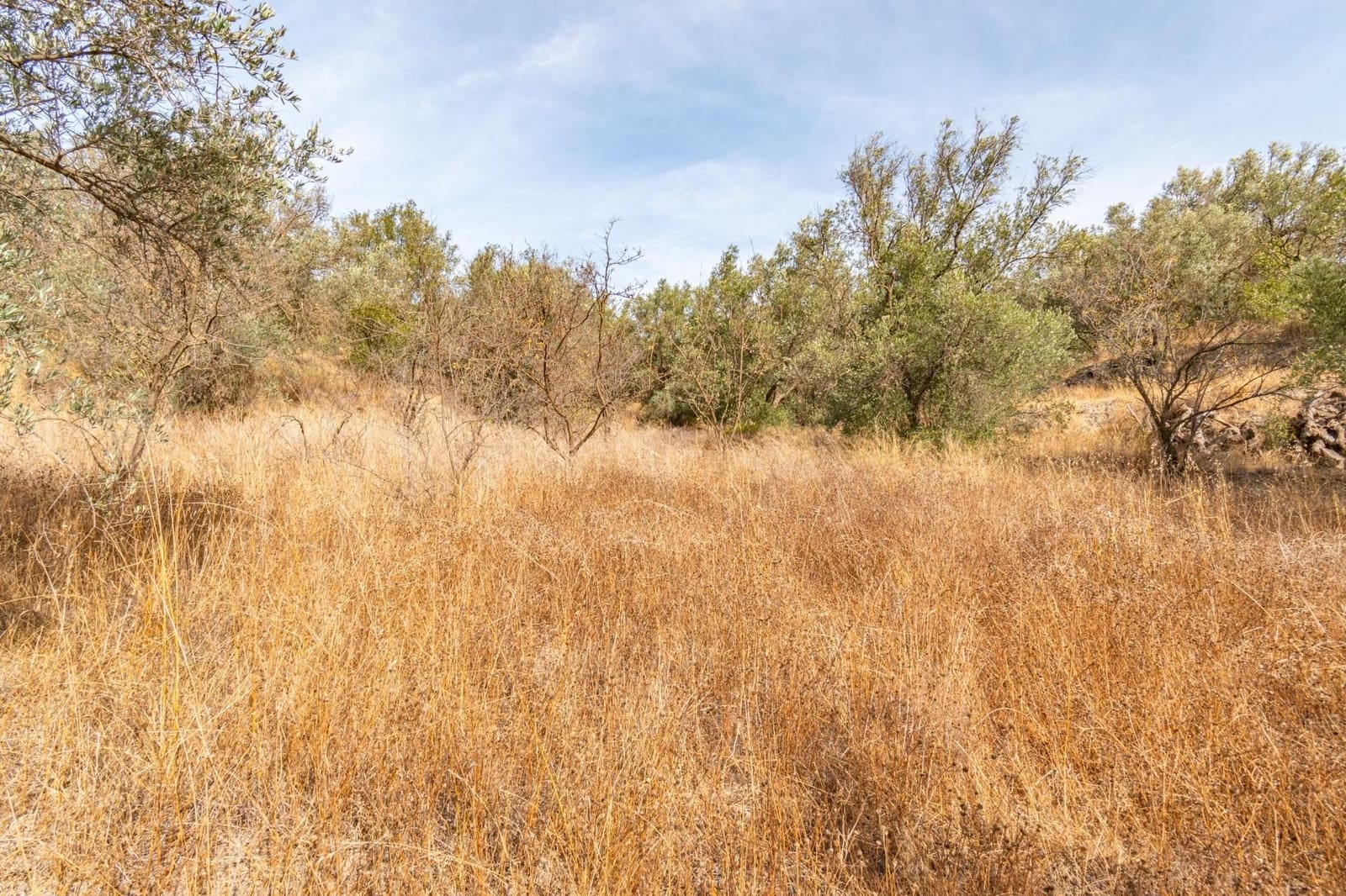 Finca/Herregård til salgs i Orgiva - € 59 900 (Ref: 9534213)