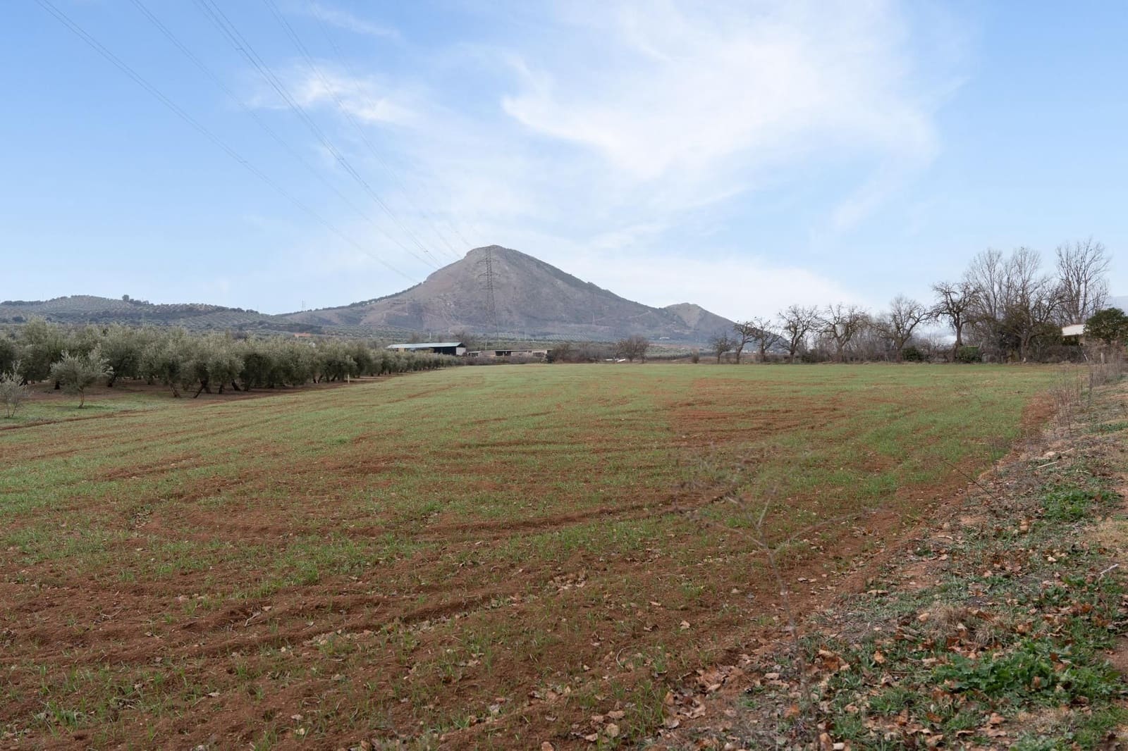 Finca/Landehus til salg i Albolote - € 59.900 (Ref: 9534217)