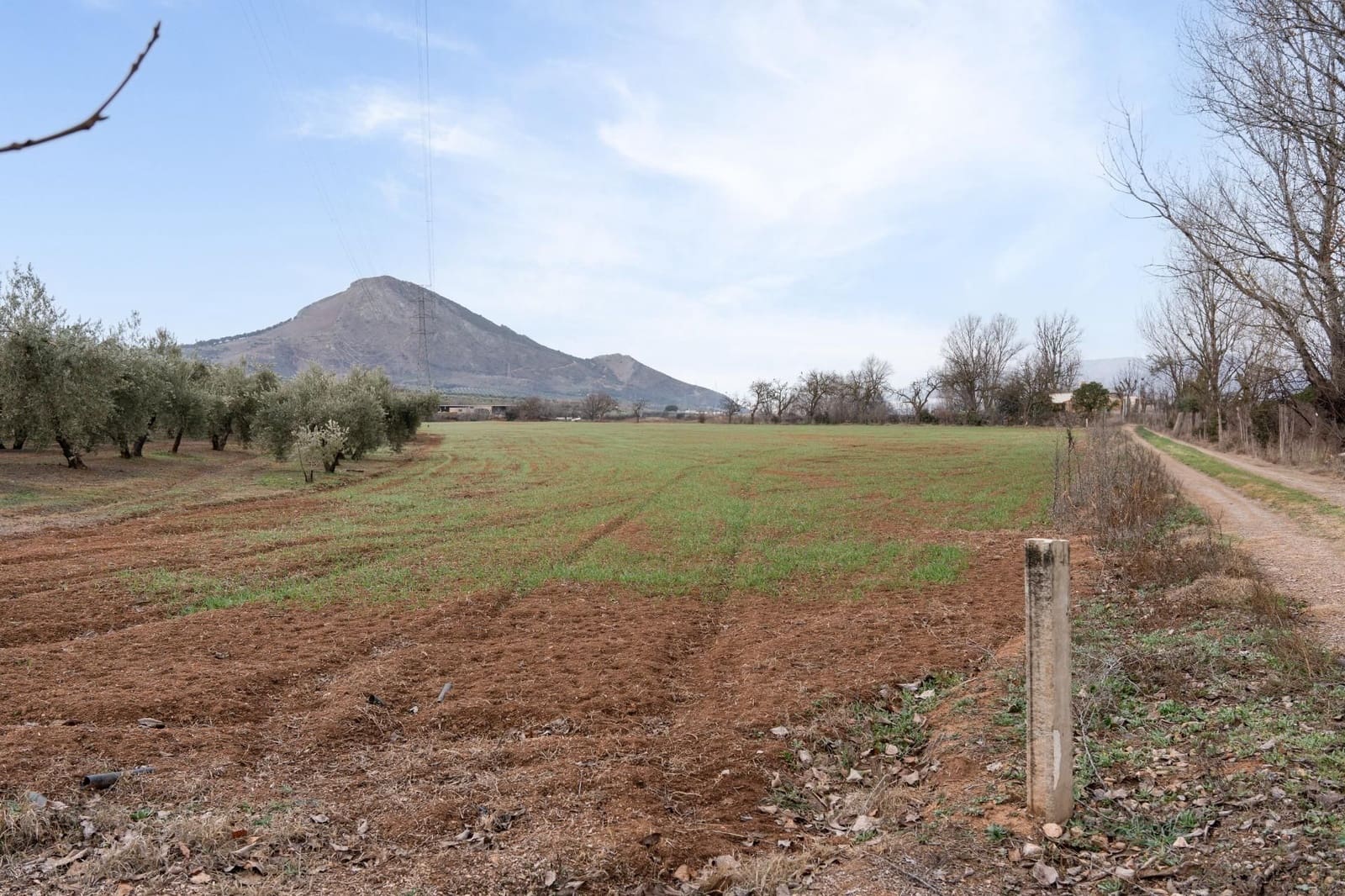 Finca/Landehus til salg i Albolote - € 59.900 (Ref: 9534217)