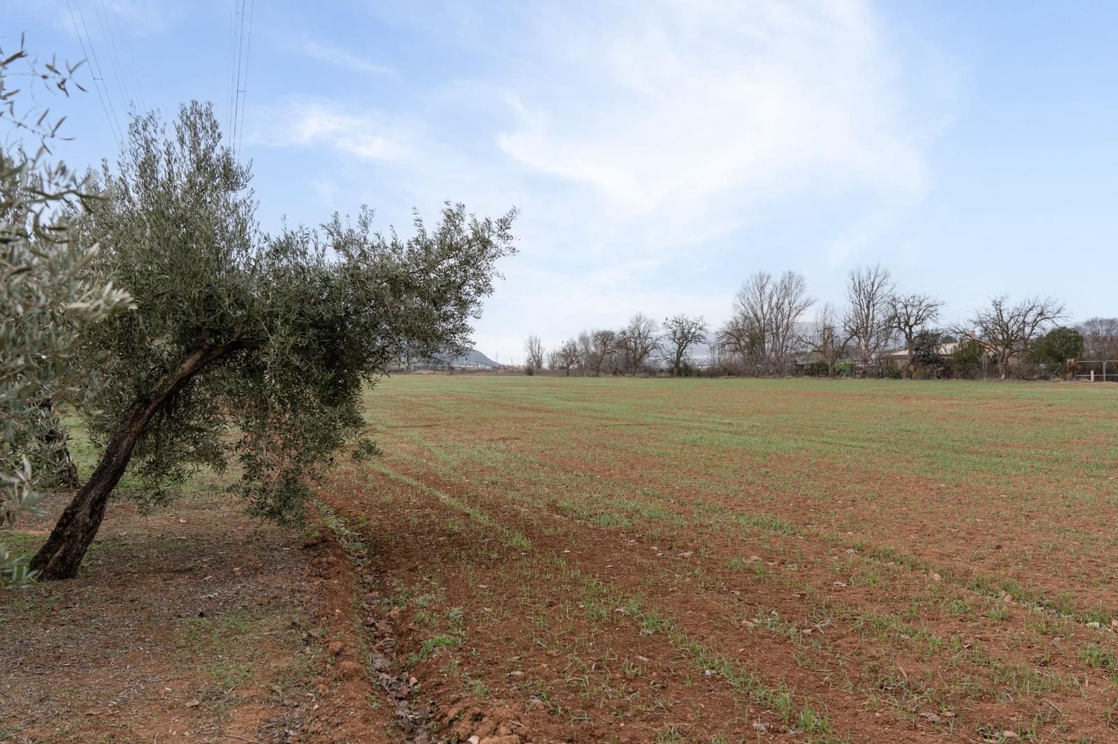 Finca/Landehus til salg i Albolote - € 59.900 (Ref: 9534217)