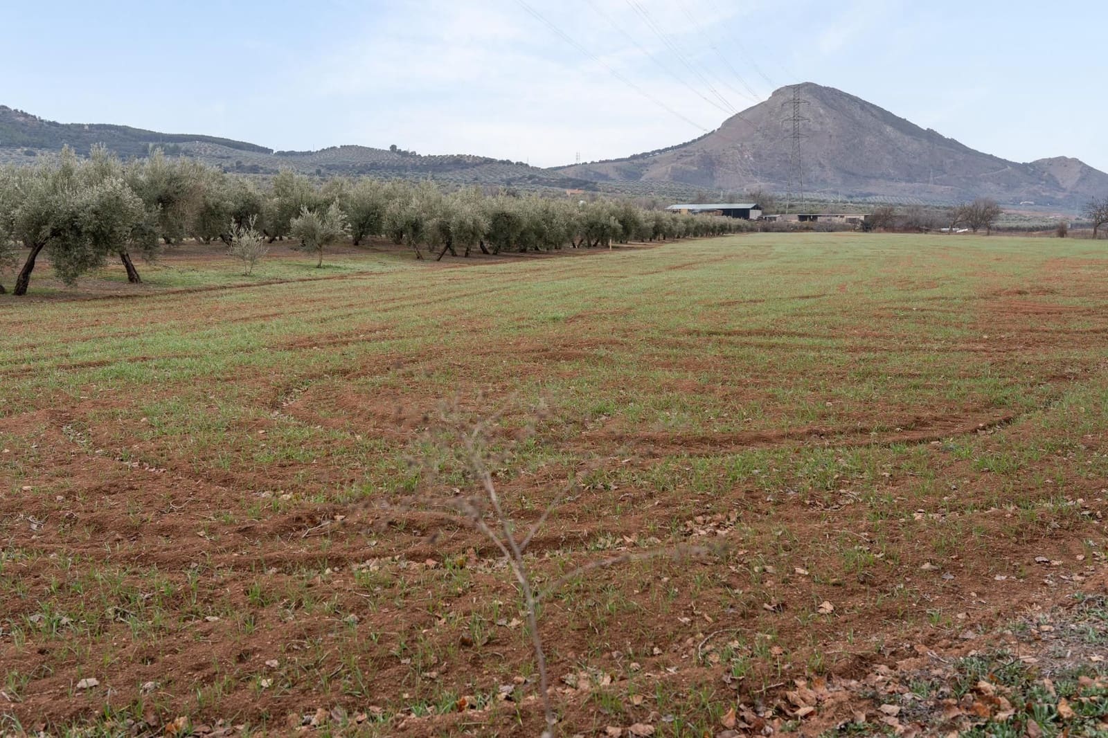 Finca/Landehus til salg i Albolote - € 59.900 (Ref: 9534217)