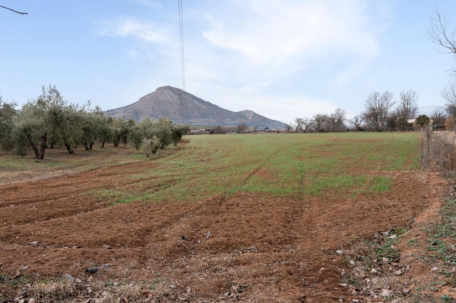 Finca/Landehus til salg i Albolote - € 59.900 (Ref: 9534217)