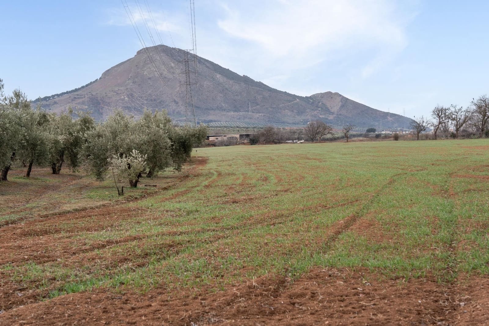 Finca/Landehus til salg i Albolote - € 59.900 (Ref: 9534217)