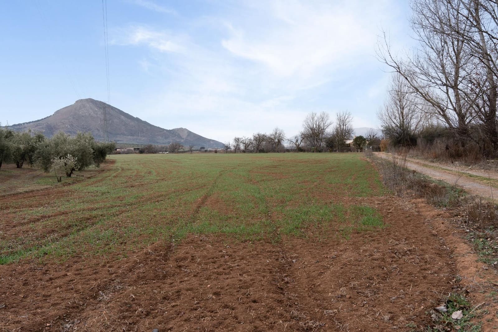 Finca/Landehus til salg i Albolote - € 59.900 (Ref: 9534217)