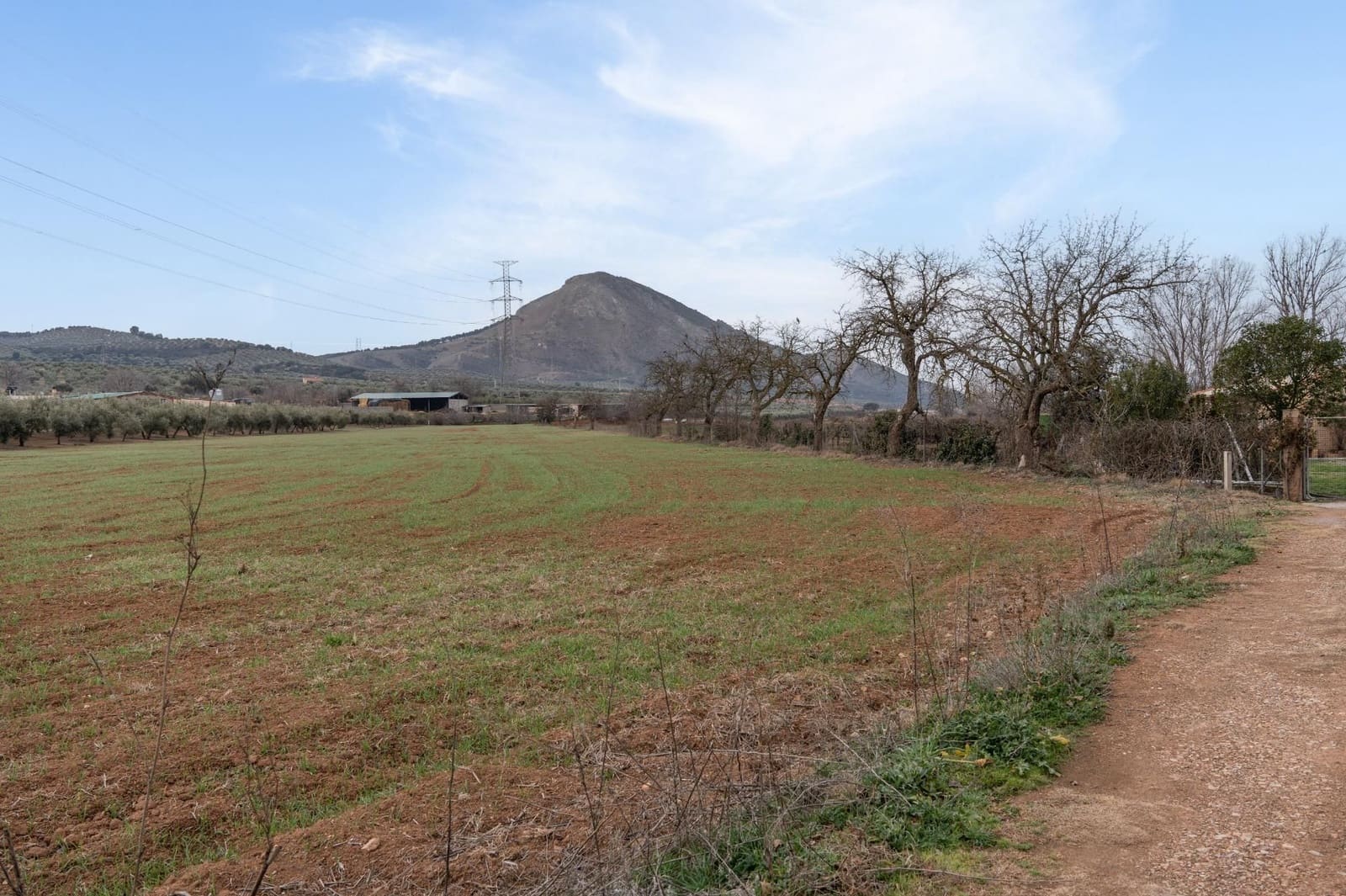 Finca/Landehus til salg i Albolote - € 59.900 (Ref: 9534217)