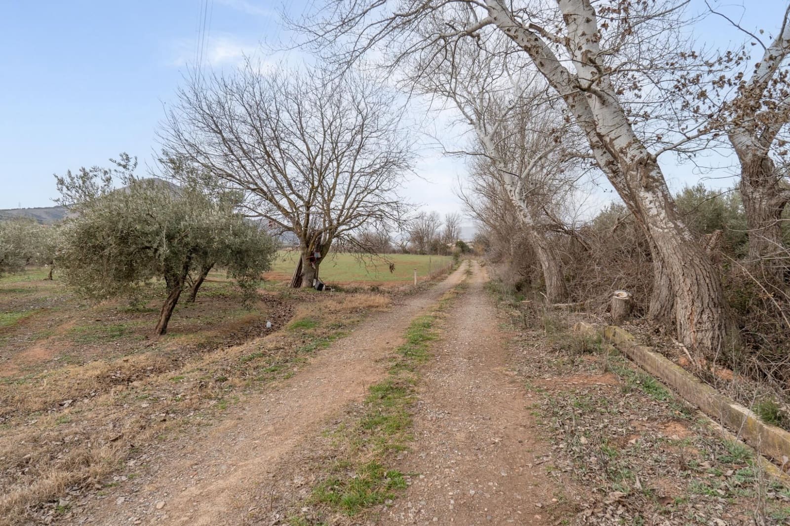 Finca/Landehus til salg i Albolote - € 59.900 (Ref: 9534217)