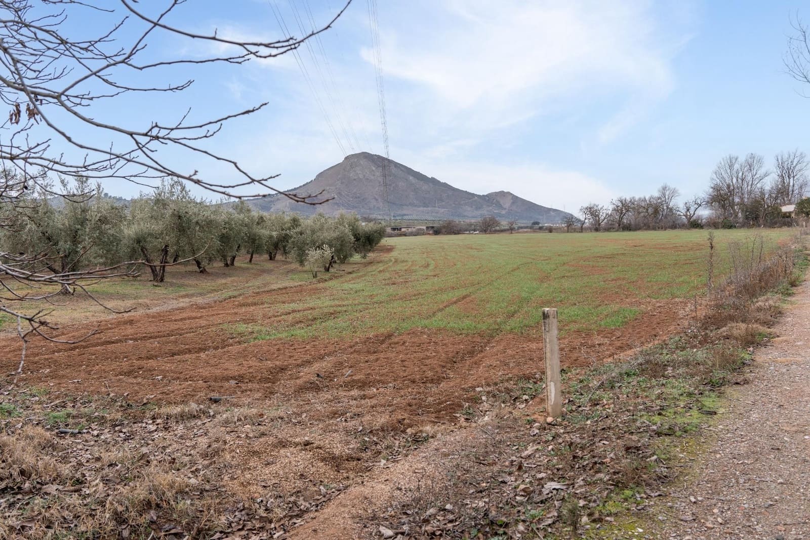 Finca/Landehus til salg i Albolote - € 59.900 (Ref: 9534217)