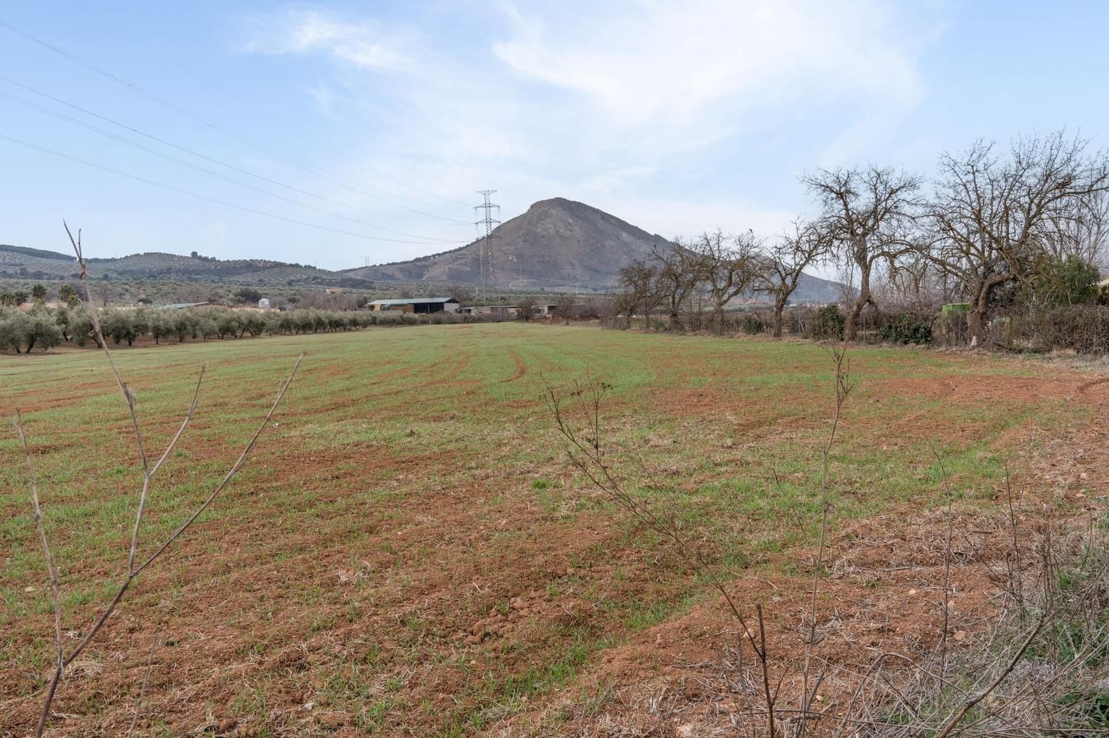 Finca/Landehus til salg i Albolote - € 59.900 (Ref: 9534217)