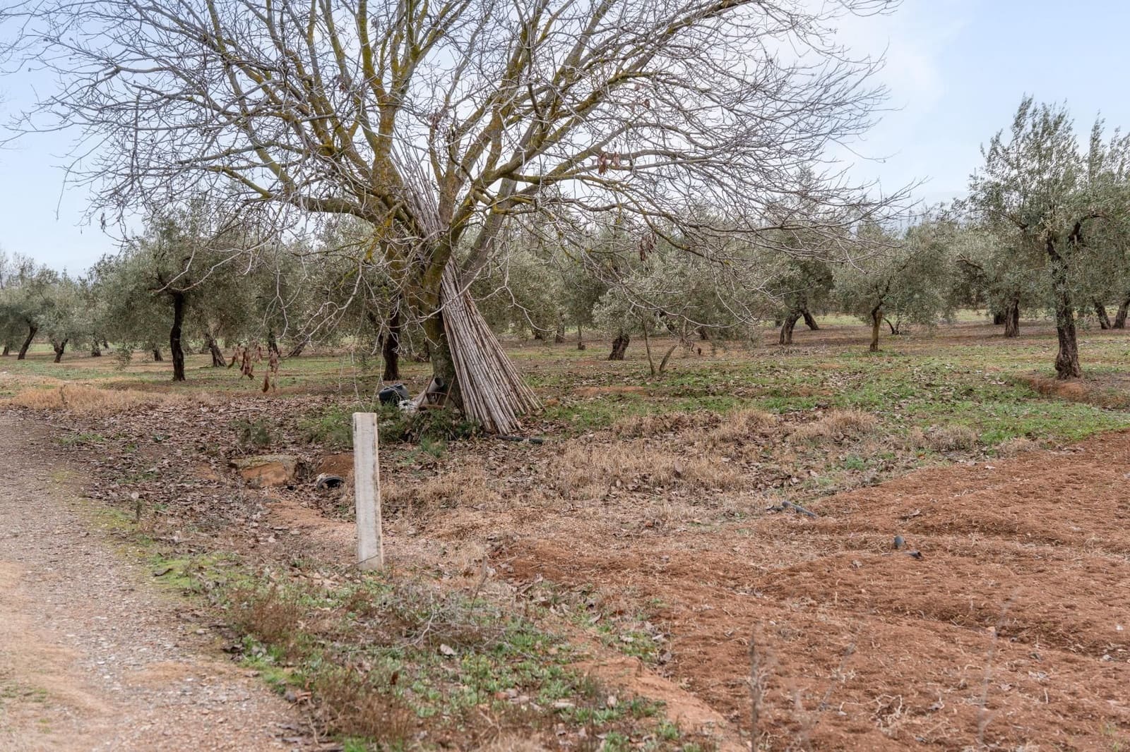 Finca/Landehus til salg i Albolote - € 59.900 (Ref: 9534217)