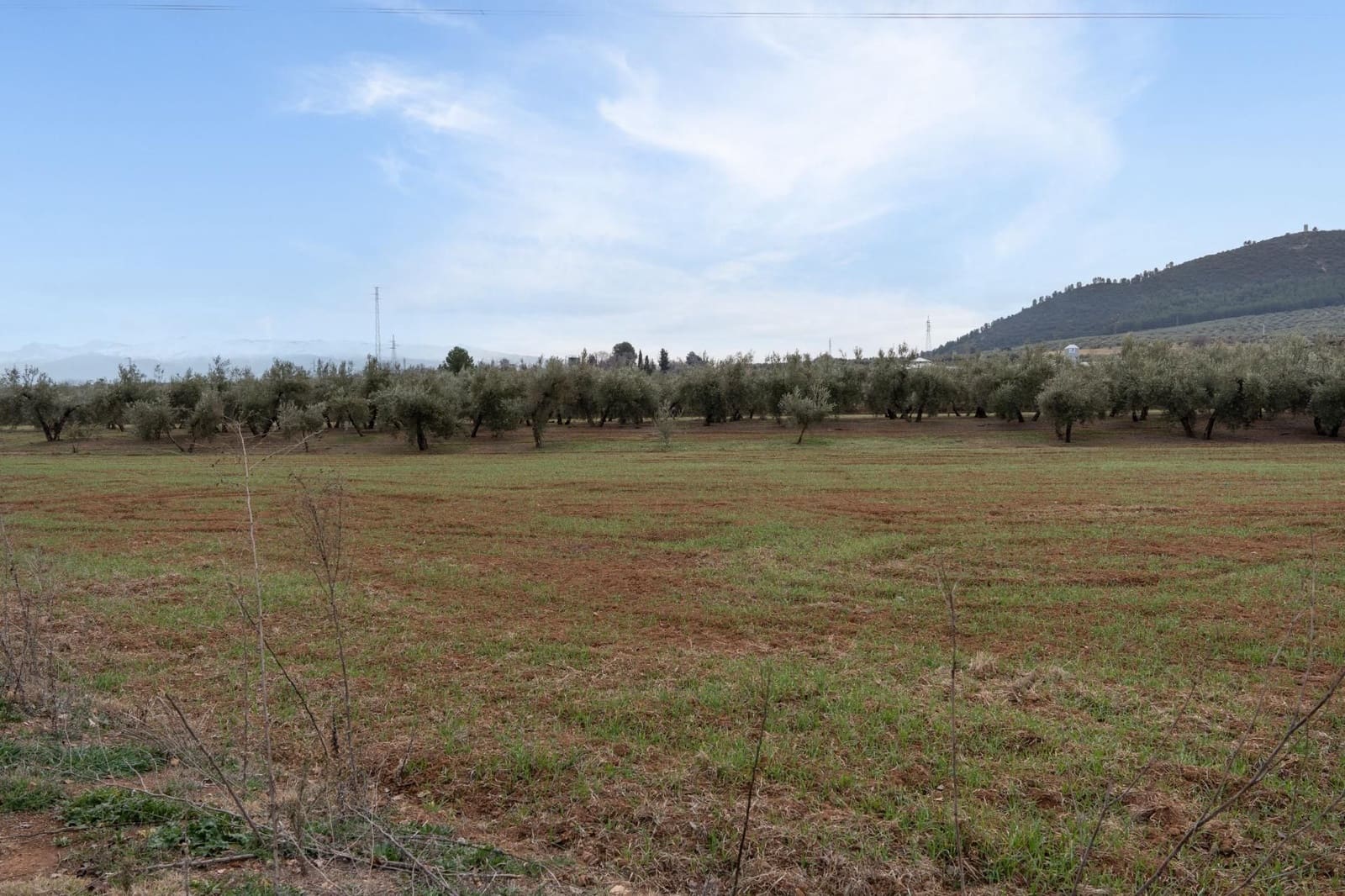 Finca/Landehus til salg i Albolote - € 59.900 (Ref: 9534217)