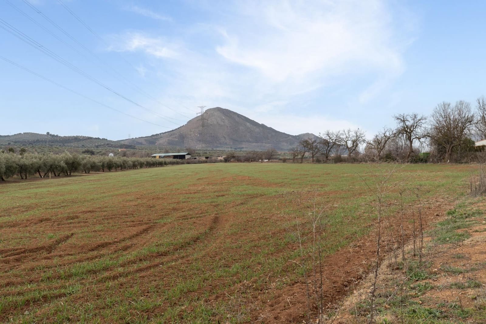 Finca/Landehus til salg i Albolote - € 59.900 (Ref: 9534217)