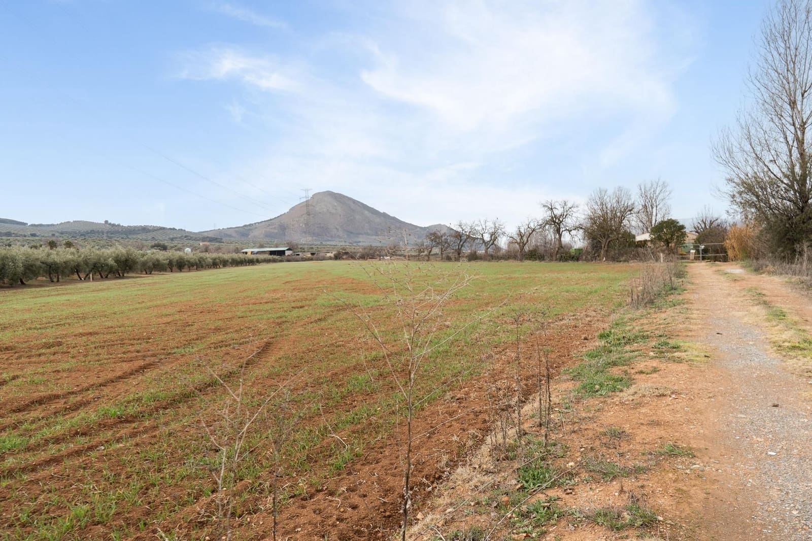 Finca/Landehus til salg i Albolote - € 59.900 (Ref: 9534217)