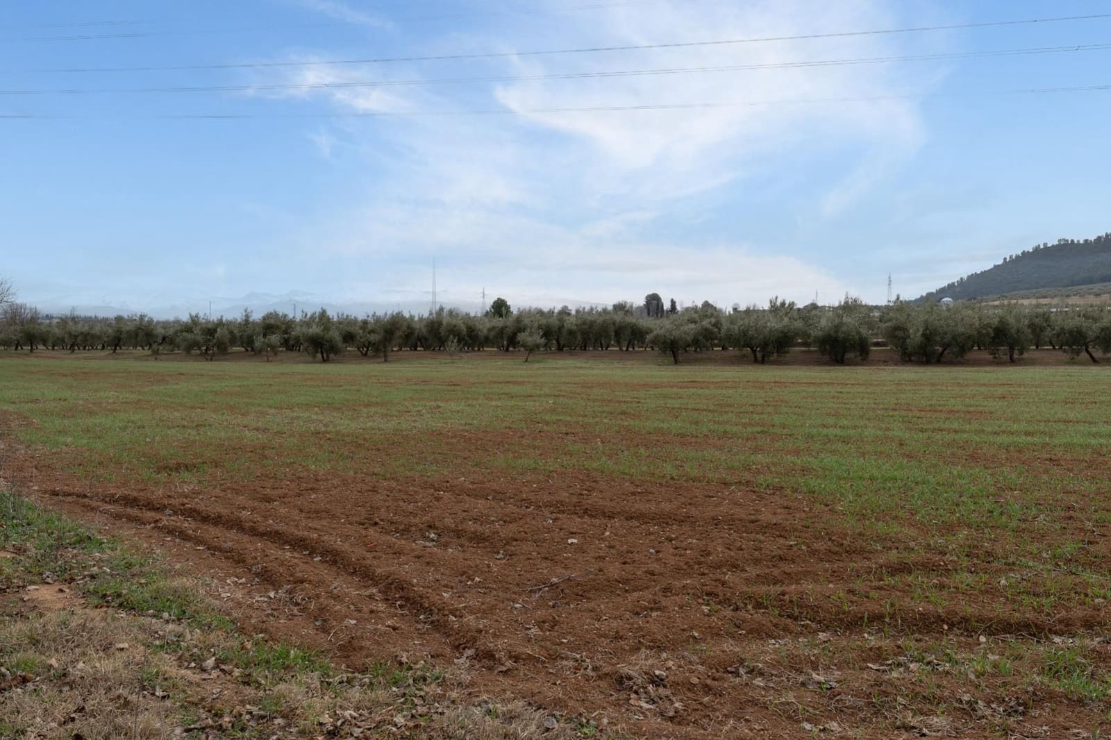 Finca/Landehus til salg i Albolote - € 59.900 (Ref: 9534217)