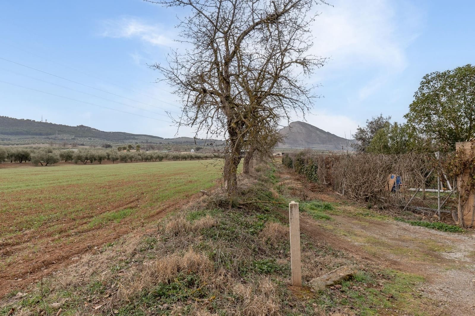 Finca/Landehus til salg i Albolote - € 59.900 (Ref: 9534217)