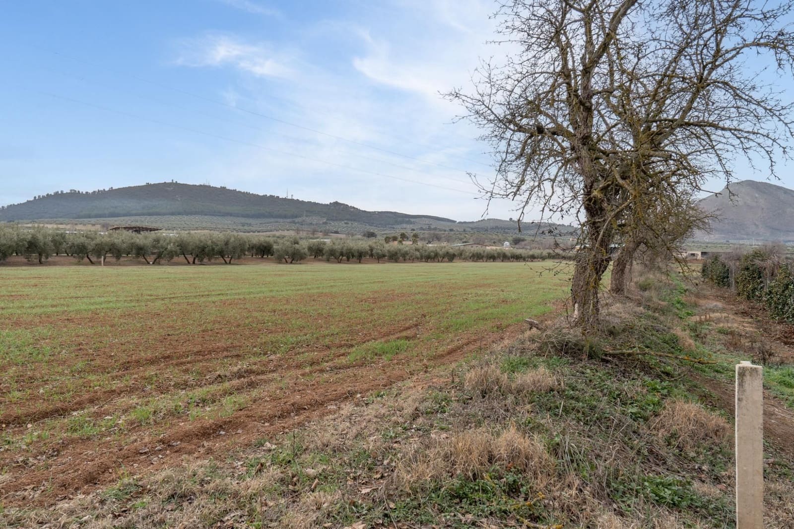 Finca/Landehus til salg i Albolote - € 59.900 (Ref: 9534217)