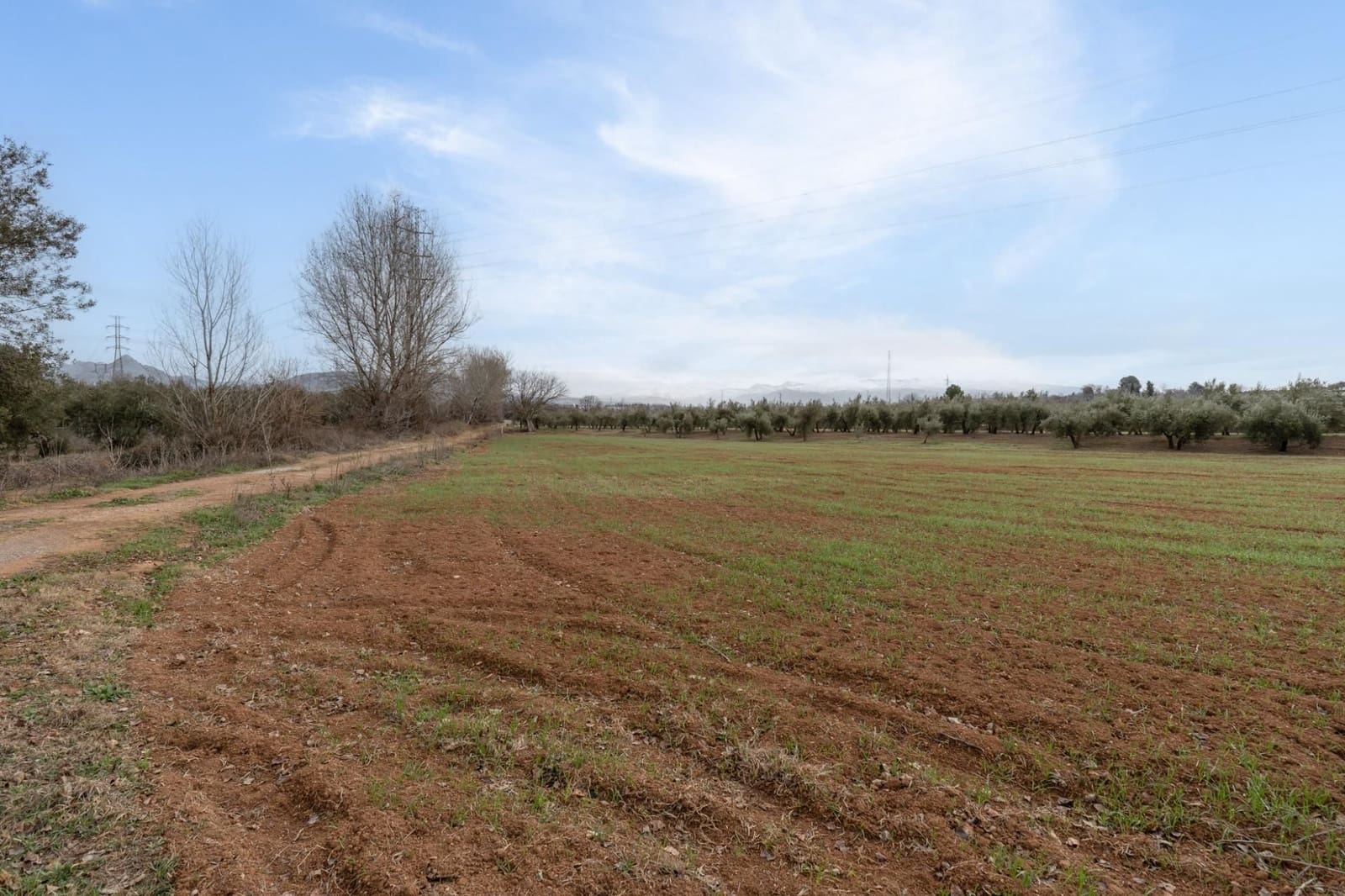 Finca/Landehus til salg i Albolote - € 59.900 (Ref: 9534217)