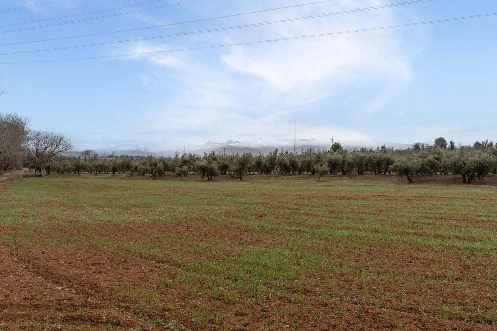 Finca/Landehus til salg i Albolote - € 59.900 (Ref: 9534217)