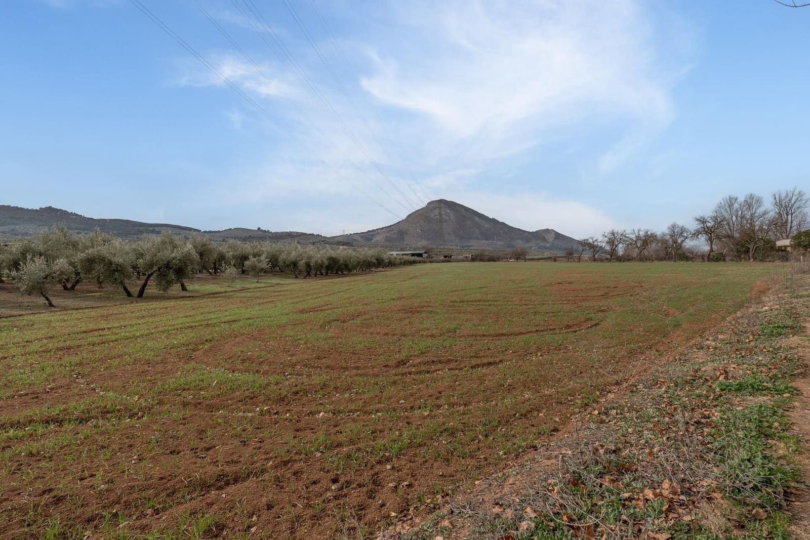 Finca/Landehus til salg i Albolote - € 59.900 (Ref: 9534217)