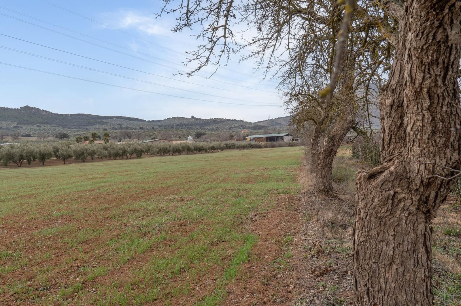 Finca/Landehus til salg i Albolote - € 59.900 (Ref: 9534217)