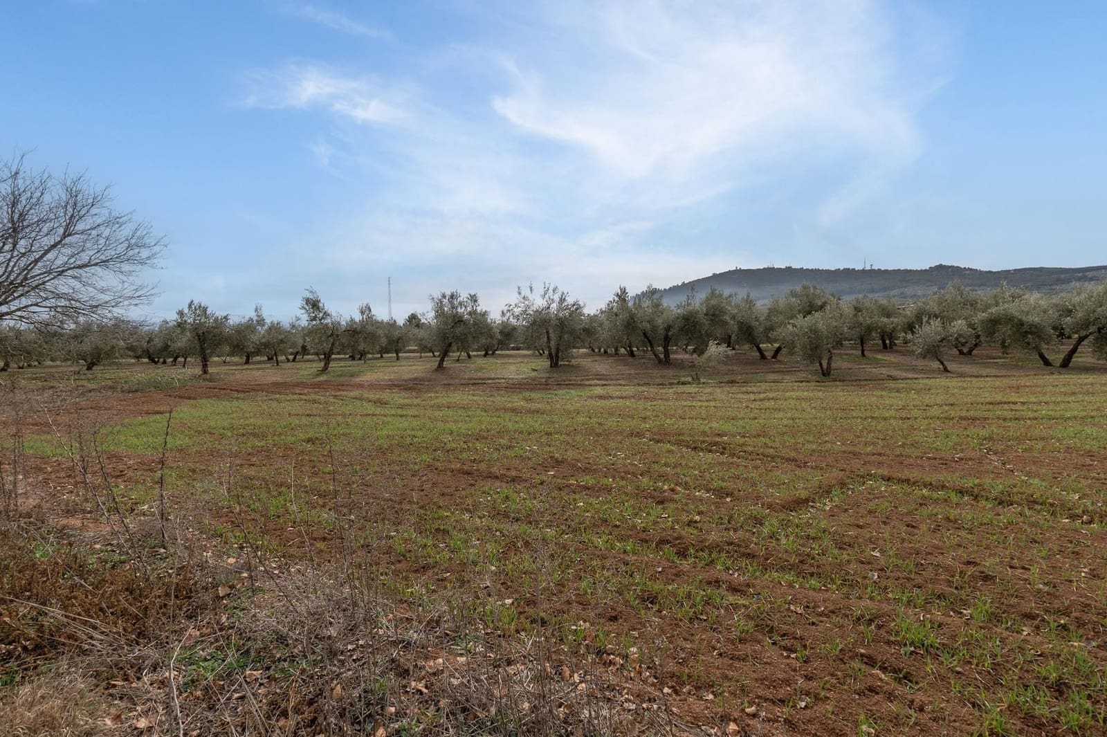 Finca/Landehus til salg i Albolote - € 59.900 (Ref: 9534217)