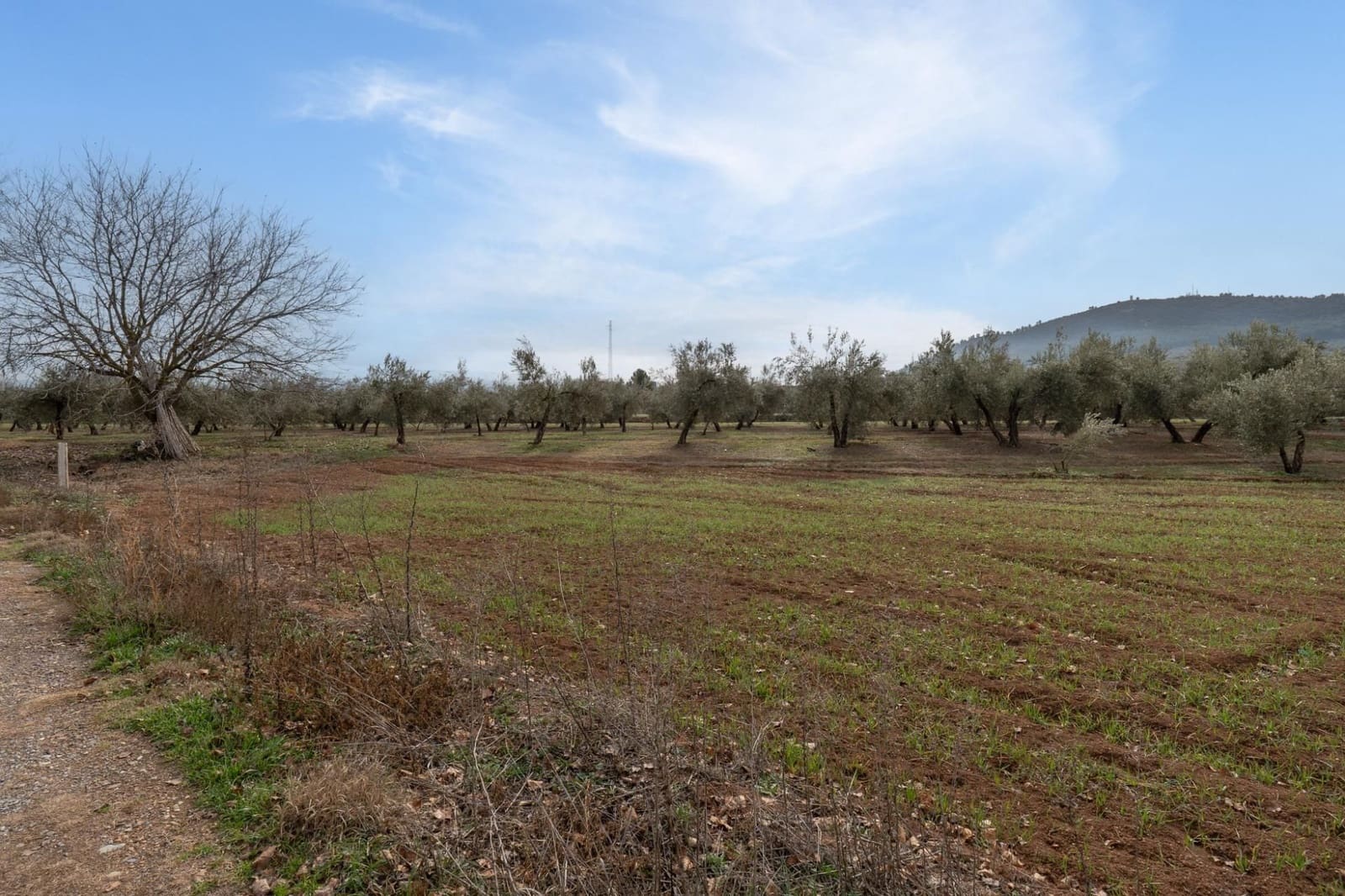 Finca/Landehus til salg i Albolote - € 59.900 (Ref: 9534217)